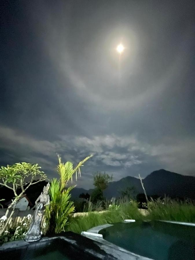 Batur Pyramid Guesthouse Kintamani Dış mekan fotoğraf